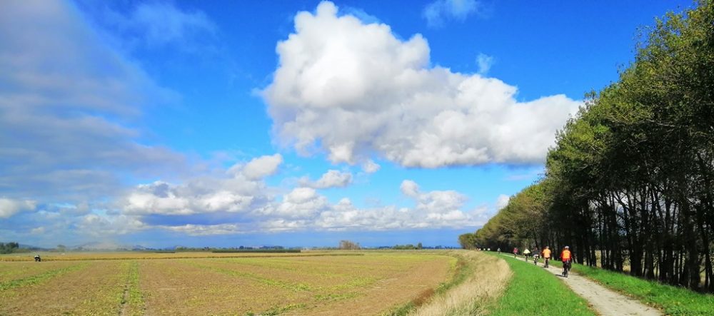 Hawkes Bay Ebike Rides