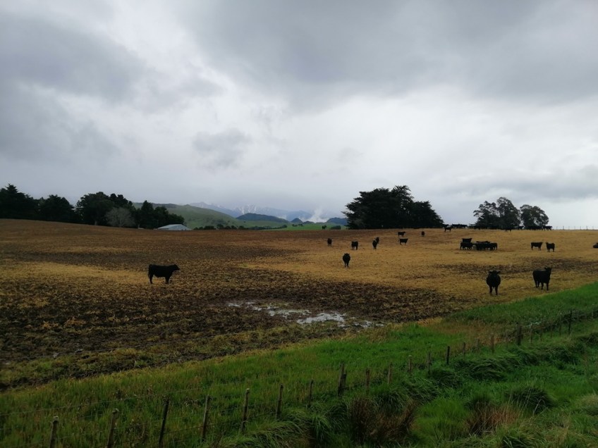 Ebike Social Riders Hawkes Bay