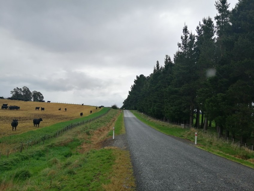 Ebike Social Riders Hawkes Bay
