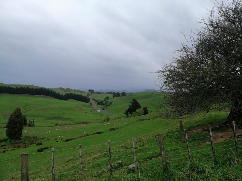 Ebike Social Riders Hawkes Bay